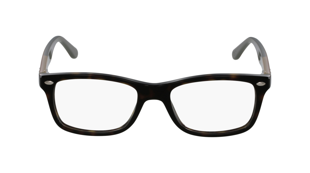 RAY-BAN 5228 5545 50
