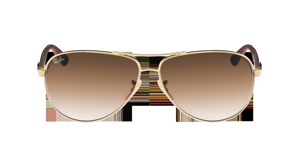 RAY-BAN 8313 001/51 58