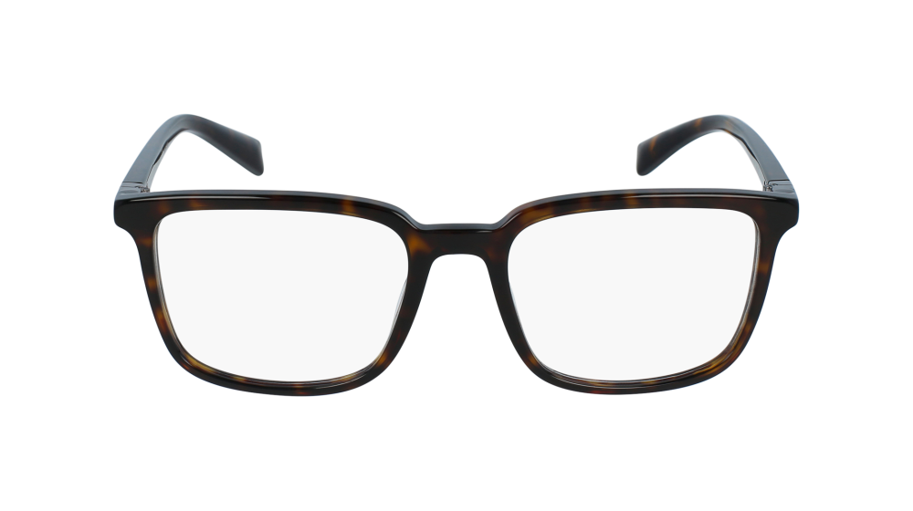 DOLCE & GABBANA 3304 502 54