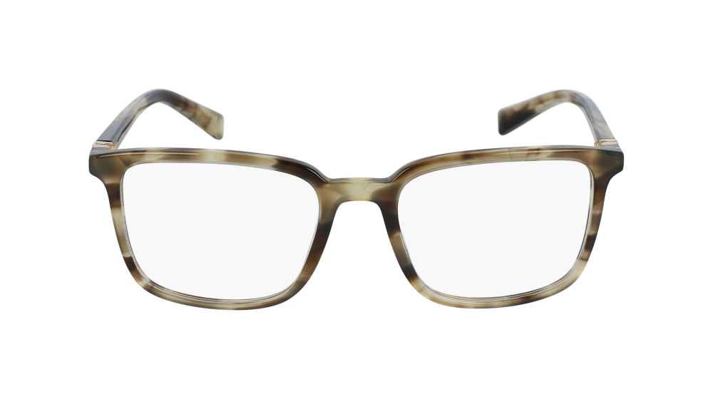 DOLCE & GABBANA 3304 3200 54