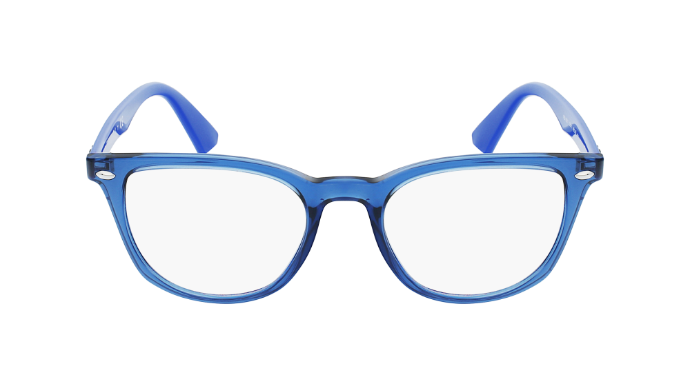RAY-BAN 1601 3811 48 RAY-BAN 1601 3811 48